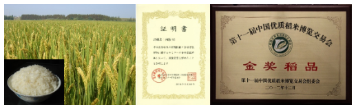QQ图片20190508163619.png