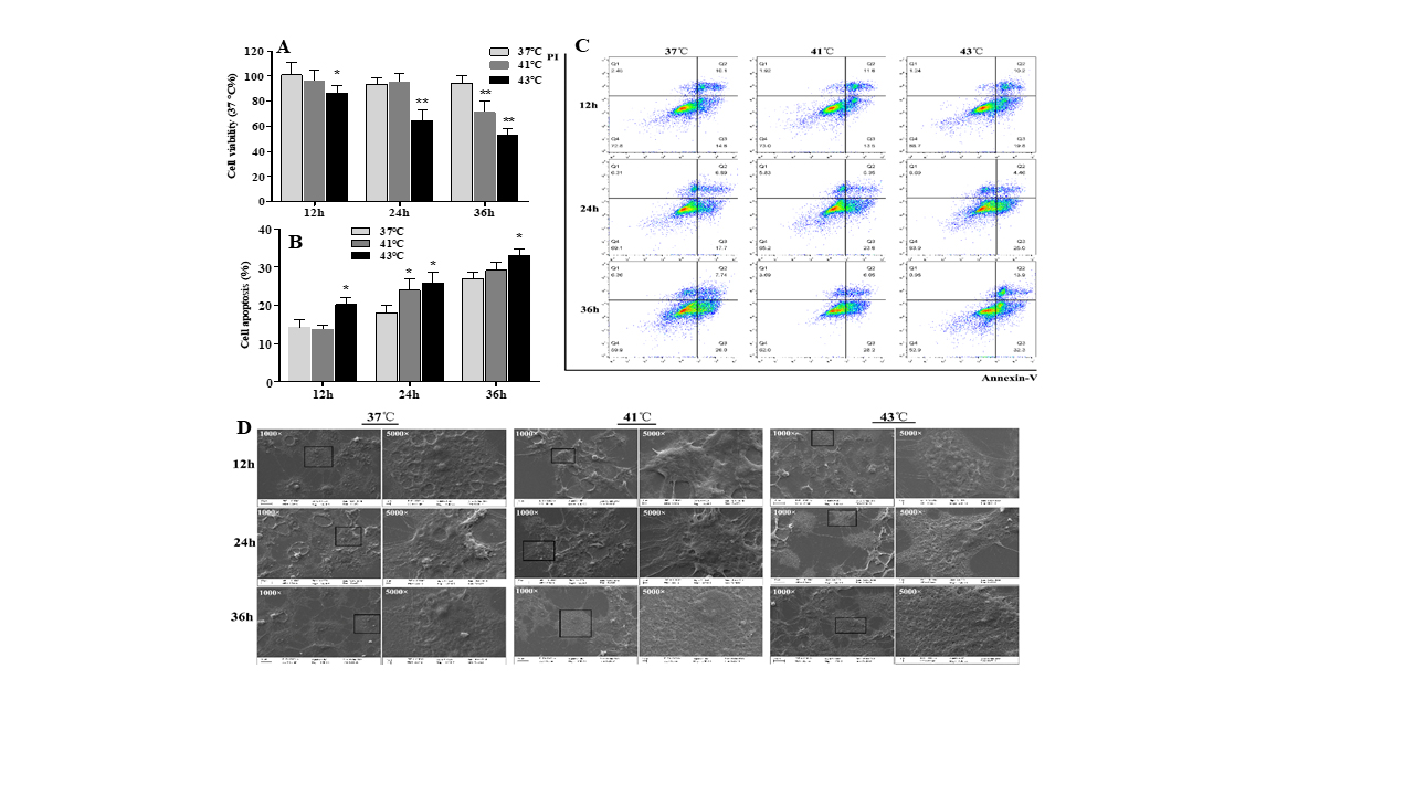 Fig.2.jpg