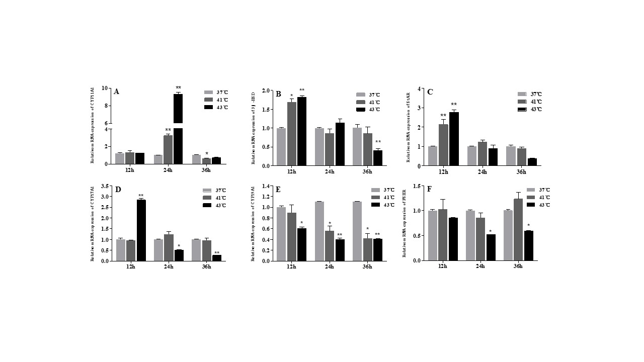 Fig.4.jpg